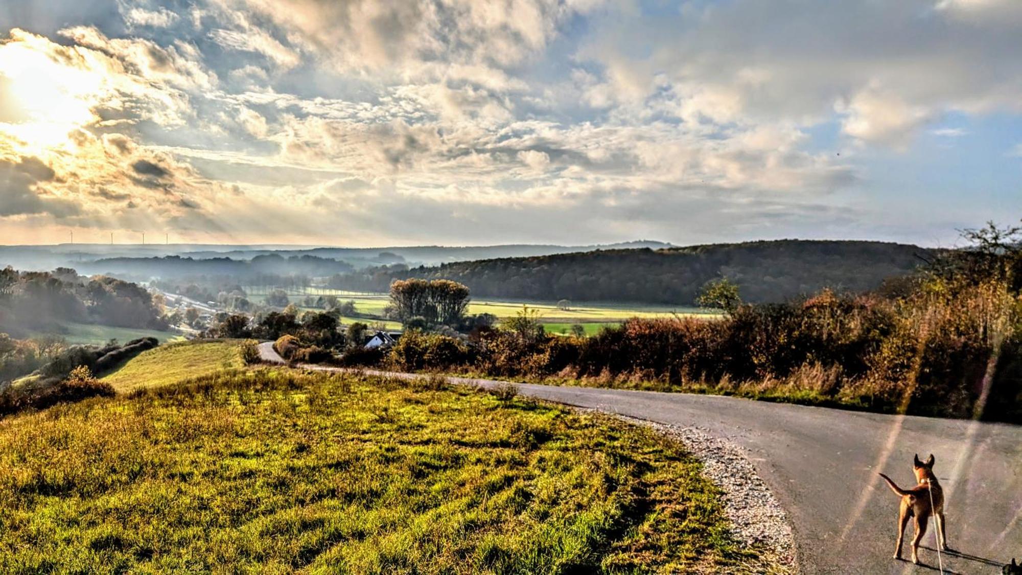 Hotel Panorama Niederfüllbach Dış mekan fotoğraf